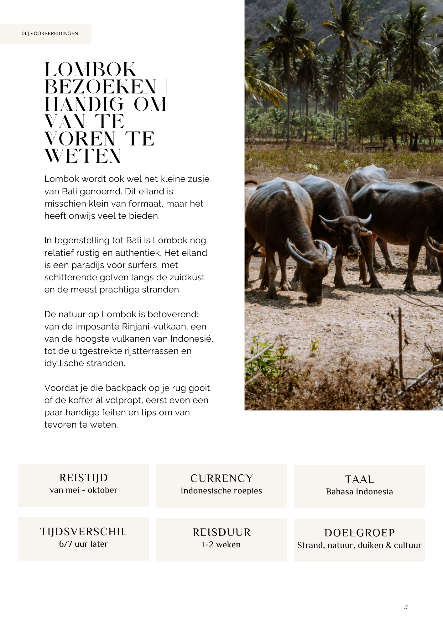 Lombok Travelguide (e-book NL) 